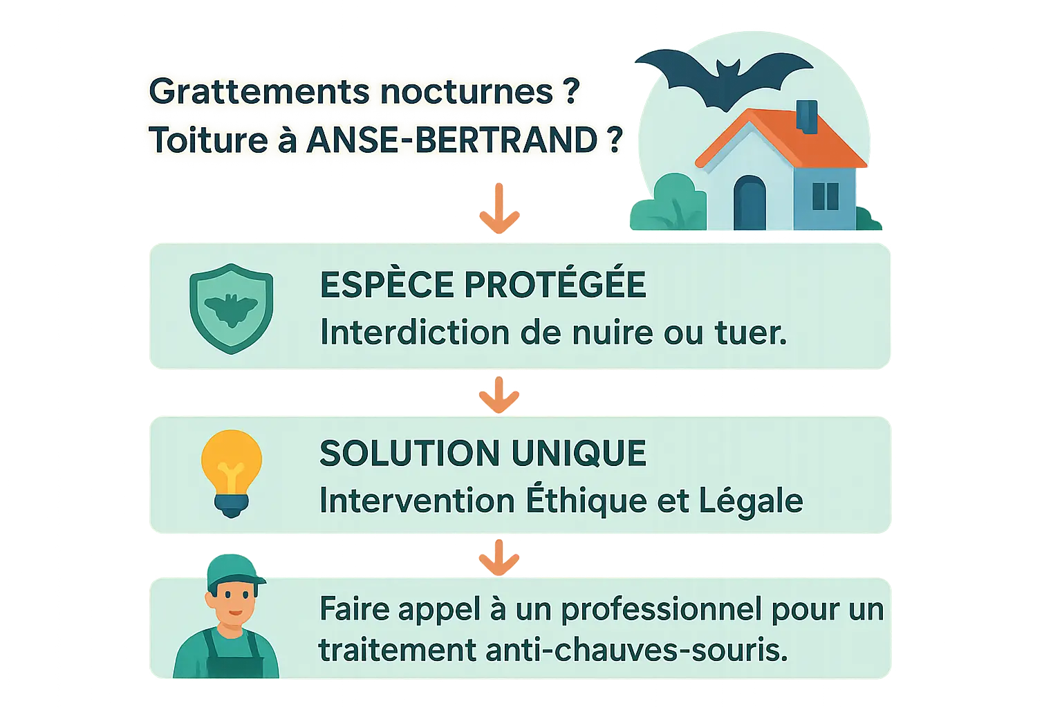 Illustration d'une maison avec chauve-souris dans la toiture à Anse-Bertrand